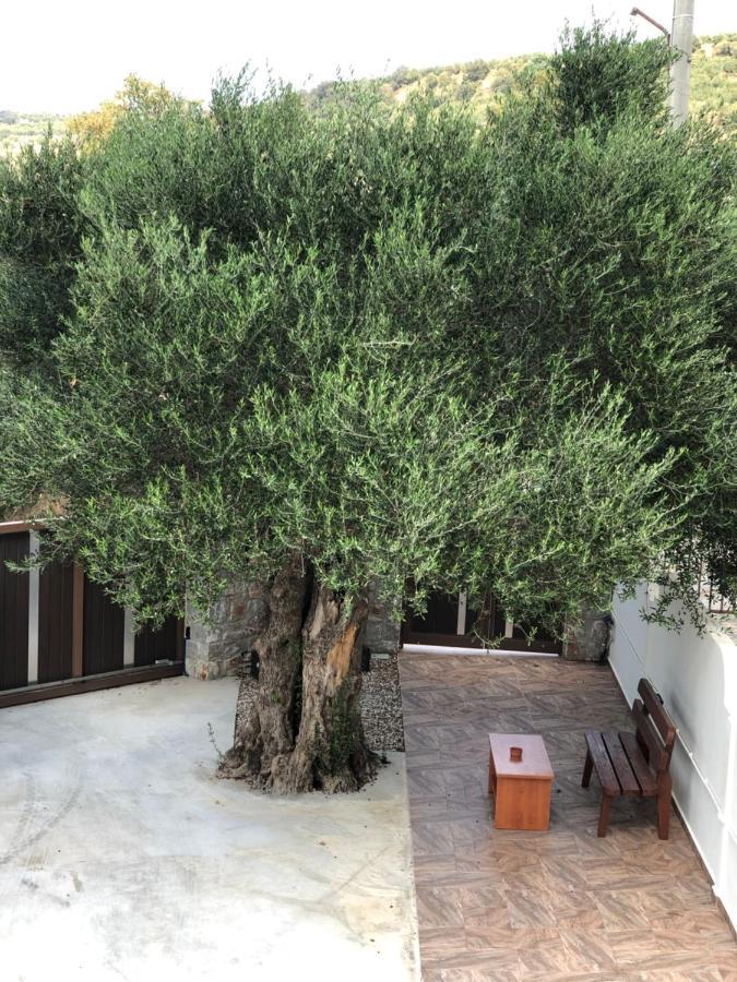 Creta Galini House Villa Sirilion Luaran gambar